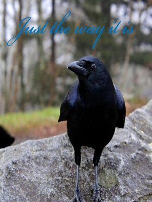 cover image of Just the Way it Is